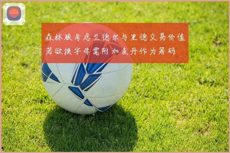 森林狼考虑兰德尔与里德交易价值若欲换字母需附加麦丹作为筹码